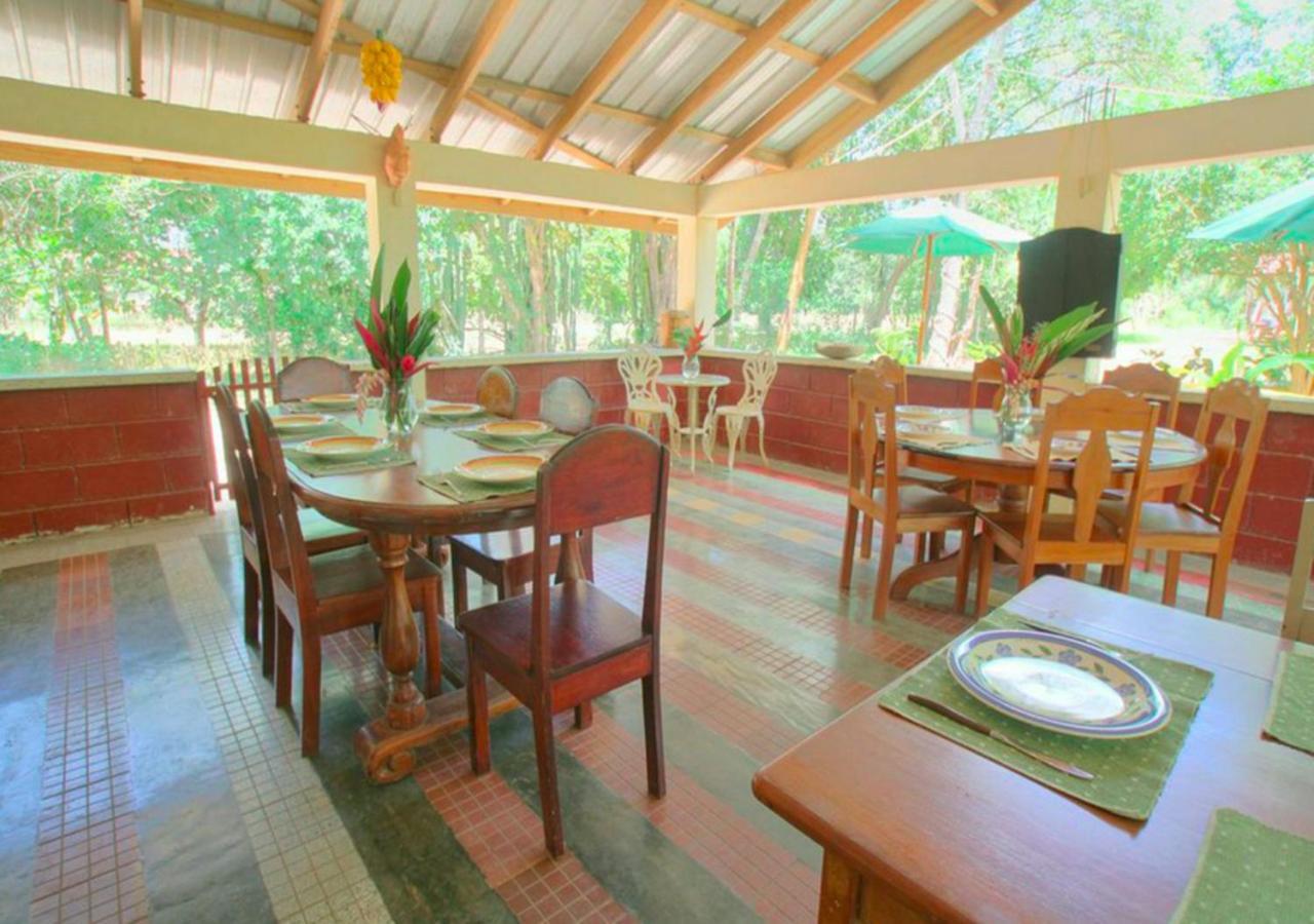 Midas Resorts San Ignacio Restaurace fotografie